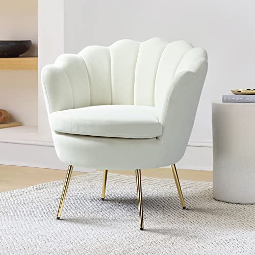 FABRICATION HAUS Living Room Armchair Velvet Tub Chair Comfy Accent Occasional Chair with Seashell Back & Metal Leg for Lounge, Ivory