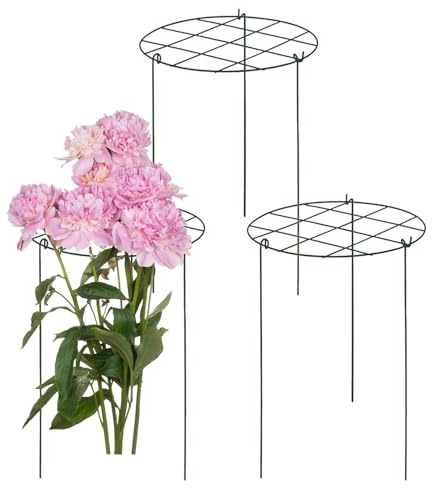 3 Stück Rankgitter,Pflanzenhalter Rankobelisk Spalier Tomaten Rankhilfe Gitterspalier Klettergitter Metall Garten Rose Decor Trellis Für Kletterpflanzen, Rosen, Gemüse, Blumen