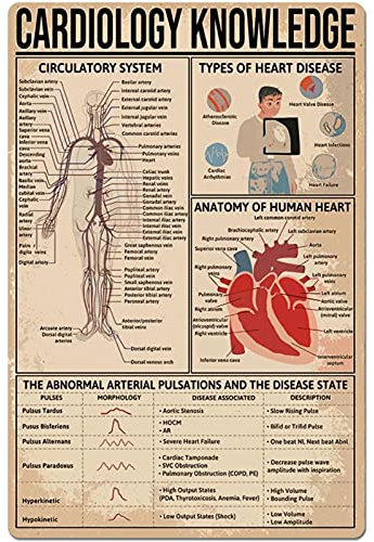 FJQWKLF Metallschild mit Kardiologie-Wissen, Infografik-Poster zum Thema Kreislaufsystem, Krankenhaus, Klinik, Club, Zuhause, Küche, Schlafzimmer, Wanddekoration, Plakette, 20,3 x 30,5 cm