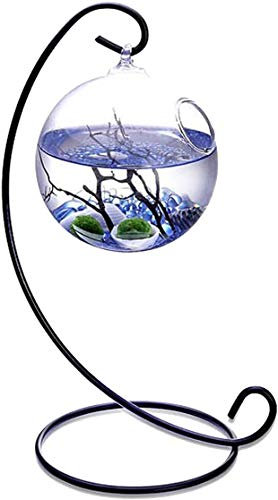 Kit de Acuario acuático de Mesa con 2 Bolas de Musgo Vivo, Piedras pequeñas y Ventilador Negro de 3,5 Pulgadas con Metal (Azul Marino)