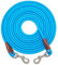 SEPXUFORE Hundeleine, zum Ausbinden, 2,4 / 3,8 / 15,2 / 20 / 30 m, robustes Nylon-Karo-Schnur für mittelgroße und große Hunde, zum Spielen, Camping, Hinterhof (0,9 x 4,6 m, blau)