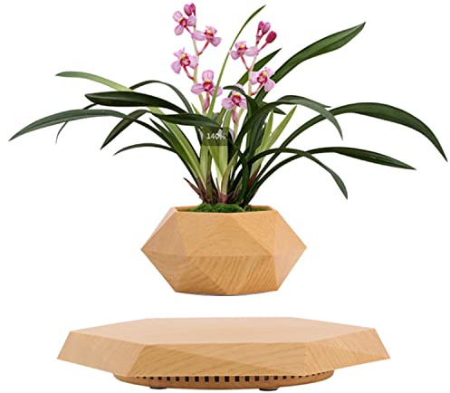 HACLEN Schwebender Blumentopf, Chwebender Blumentopf für Luftpflanzen, Levitating Plant Pot Floating Air Bonsai Pot Suspension Blumentopf Pflanzgefäß für Schreibtischdekoration-1