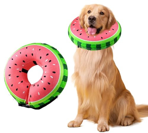 Voarge Gonfiabile, collare per cani, protezione contro le perdite per il recupero dopo interventi chirurgici o ferite, collare per la visione non bloccato/L (rosso, S)