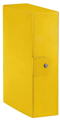 Esselte Ordner-Archivbox für die Archivierung von Dokumenten langfristige, A4, Rücken 10 cm, Delso Order Dorso 10 cm gelb