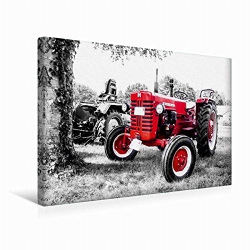 Premium Textil-Leinwand 45 x 30 cm Quer-Format MC Cormick | Wandbild, HD-Bild auf Keilrahmen, Fertigbild auf hochwertigem Vlies, Leinwanddruck von Andrea Dreegmeyer