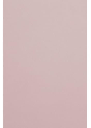 Netuno 50 Blatt Fotokarton Hell-Rosa DIN A4 21 x 29,7 cm 300g Malmero Rose Antique dicker Bastelkarton farbig für Visitenkarten Einladungen Basteln Kreativkarton bunt Farbkarton für Karten Feinkarton