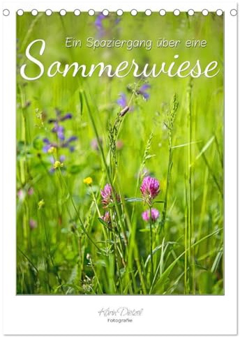 Ein Spaziergang über eine Sommerwiese (Tischkalender 2026 DIN A5 hoch), CALVENDO Monatskalender: Sommerwiesen sind Farbe, Licht, Leben (CALVENDO Natur)