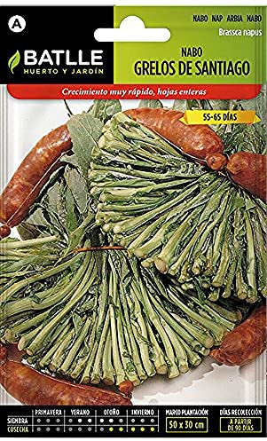 Semillas Batlle, Rapa Grelos de Santiago, Multicolore, 15 x 8,5 x 3 cm