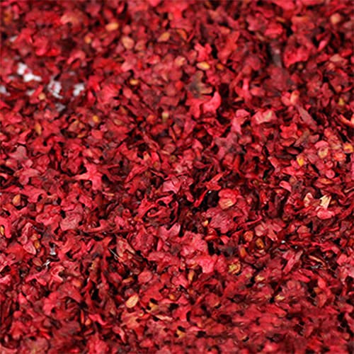 Sharplace Modélisme Ferroviaire - Herbes/Feuilles Fausses Sauvages pour Miniature, Diorama - Rouge