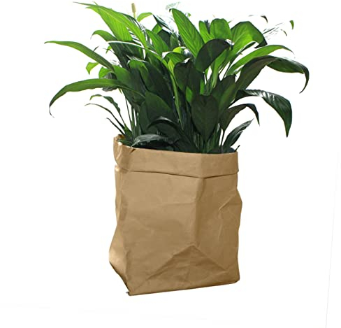 Alipis Grand en Papier Lavable Marron Organiseur Conteneur en Papier Cache-Pot De Fleurs Rangement Décoratif