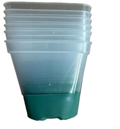 Pots de fleurs carrés en plastique transparent, base en silicone transparent, réutilisable pour plantes de fleurs (vert 6)