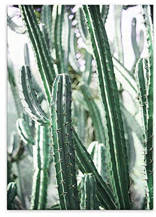 LaLe Living Hochwertiger Leinwanddruck mit tropischem Kaktus als Motiv A4 21x30cm (ohne Rahmen) - Kunstdruck Poster Print Leinwandbild Wandbild Leinwand Plakat Deko Bild DINA4