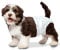 Four Paws Wee-Wee Super saugfähige Einweg-Windeln, verstellbar, auslaufsicherer Schutz für Welpen und kleine Hunde, Größe XS, 36 Stück