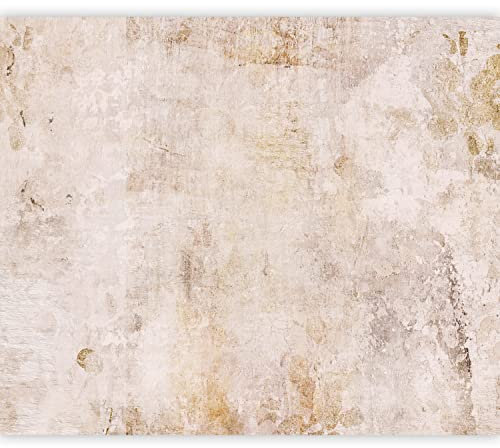 murando Carta da parati Calcestruzzo 350x256 cm Fotomurali in TNT Murale alla moda Decorazione da Muro XXL Poster Gigante Design Carta per Pareti Soggiorno Astratto Pietra beige a-A-10109-a-b