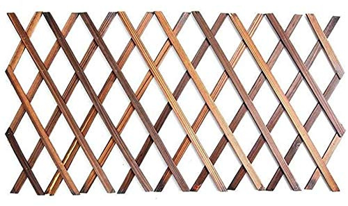 Barabesty Ausziehbares Holzgitter für den Garten, , Ziehgitter, Garten, Dekoration