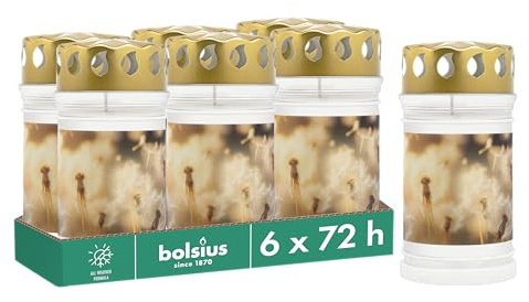 Bolsius Grave Light with Dandelion Motif, Set of 6, Length Burning Time 3 Days, Funeral Candle & Memorial Candles, Clean Burning, Palm Oil Free, White