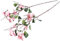 Fiebiger künstlicher Magnolienzweig mit Blüten, Knospen und grünen Blättern (rosa)