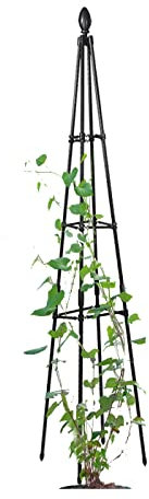 Tuteur de Jardin,Support pour Plantes grimpantes Pyramide en métal 90 à 180cm,Treillis pour d'Extérieur, Colonne Rosier, Arche Plante grimpante, Black (Size : 71/180cm H)