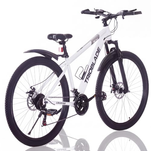 LSBIKE Mountainbike 24/26/27.5/29 Zoll, 21 Gang Schaltung MTB Fahrrad, All-Terrain Mountain Bike mit Doppelscheibenbremse und Gabelfederung, Outdoor Fahrräder mit Wasserflaschenhalter
