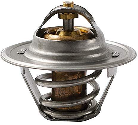 FAE 5203488 Thermostate