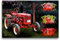 Premium Textil-Leinwand 75 x 50 cm Quer-Format Oldtimer Traktor McCormick | Wandbild, HD-Bild auf Keilrahmen, Fertigbild auf hochwertigem Vlies, Leinwanddruck von Peter Roder