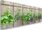 Feeby Bilder Kräuter Gewürze für die Küche XXL 120x40 cm 1Teilig Modern Leinwandbilder Wandbilder Bild auf Leinwand Kunstdruck Wanddeko Wohnzimmer Design Natur Pflanzen Grün