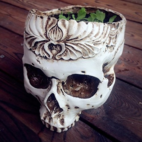 huiouer Pot de Fleurs Gothique en résine Motif tête de Mort