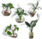 KNIKGLASS 5 Packs Wall Hanging Glass Planter Geometric Glass Plant Pots Wall Mounted Hanging Air Plant Pots Flower Vase Plant Terrariums Wall Hanging Plant Container