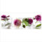 decorwelt Glasbild 125x50 XL Rose Pink Panorama Wandbild Glasbilder Modern Deko Glas Bild