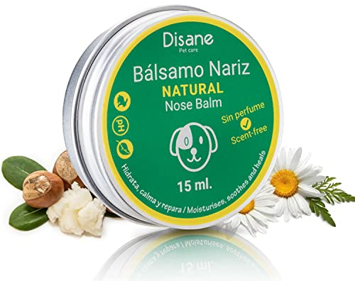DISANE Natural Dog Nose Balm 15ml : Hunde-Nasencreme : Befeuchtet und beruhigt die Hundenase : Ohne Duft- und Geschmacksstoffe