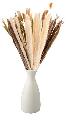 40 Stück Getrocknetes Pampasgras, Artificial Getrocknet Trockenblumen, Natürliche Braun Weiß Pampasgras, Pampasgras Getrocknet für Wohnzimmer, Hochzeit Gesteck, Tischdeko