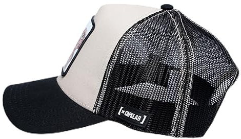 Capslab Marvel Harry Potter Cap CL-HP1-1-CT-DOB3, Herren, Cap, Beige, One Size