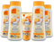 6er Set: Balea Bodylotion Q10, 4x400 ml Strafft & festig die Haut nach 2 Wochen, Handcreme Q10 mit Aprikosenöl und LSF15, 1x100 ml + Topfpflanze, künstlich