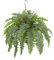 Briful 17.7 Hanging Plants Artificial Boston Fern with Woven Pot Hanging Basket, Hanging Fake Fern Plants Like Real Decorative Artificial Plants for Porch Living Room Garden Decor
