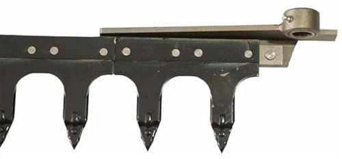 Dentiera Ama 12 Denti 1,75 m per Gaspardo FB 925 21120053