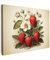 MuchoWow© Impression sur Toile Decoration Murale Peinture 40x30 cm Tableaux Decoratifs Muraux Décoration Chambre Vintage - Fraises - Plantes - Fruits - Nature - Beige