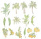 HAPINARY 60St Aufkleber Jahrgang Scrapbooking-Aufkleber Natur-Aufkleber Aufkleber ästhetisch Book Sticker Vintage Sticker Blumenaufkleber für Haustiere handkonto DIY Aufkleber Plastik