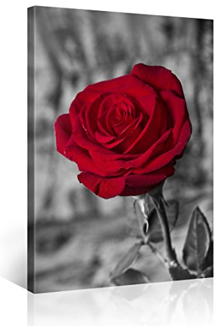 TOM HARRIS ROTE ROSE Kunstdruck auf Leinwand, Wandbild 100x75cm, Schlafzimmer, Moderner HP Latexdruck, Umweltfreundlich