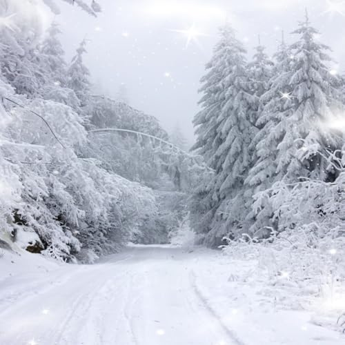 AOFOTO 10x10ft Winter Wonderland Hintergrund Schnee bedeckt Kiefern Winter Wald Landschaft Fotografie Hintergrund Schnee Szene Schneefeld Natur Landschaft Weiß Weihnachten Neujahr Urlaub Foto Studio