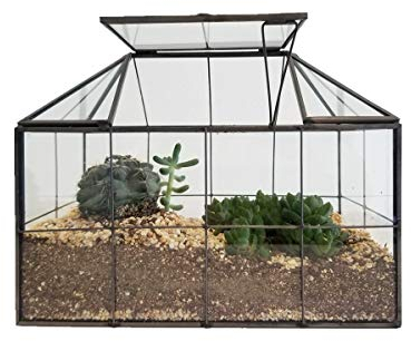 Humeng Terrarium Grande Vetro Trasparente di qualità Geometrico e Sunshine House Decorazione Domestica Vaso di Fiori Vaso Artistico per Catus Moss Piante grasse Piante Artigianali