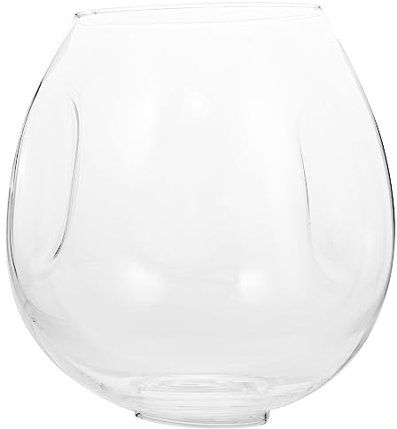 Housoutil Pantalla De Lámpara De Cristal Reemplazo De Accesorio Pantalla De Globo De Cristal Transparente Cubierta De Lámpara Pantalla De Dormitorio Para Iluminación Lámpara De Mesa