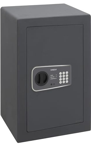 ARREGUI Logica 10 Möbeltresor mit 10 mm Starker Front + Aufbohrschutzplatte | Safe Tresor mit Zahlencode | Großer Tresor für Zuhause mit Sägeschutz Doppelbolzen Verriegelung | 58x38x33 cm | 57L