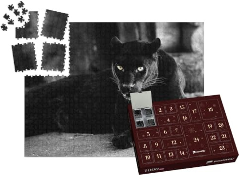 puzzleYOU: Puzzle-Adventskalender | „Schöner schwarzer Panther: eine Großkatze“ – aus der Puzzle-Kollektion Panther, Raubtiere, Tiere in Dschungel & Regenwald