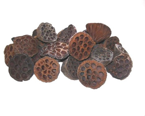 Flowerhour 25 Natural Dried Lotus Heads