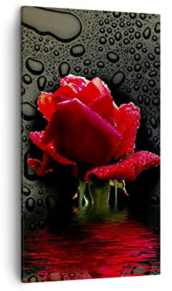 Moderne Impression sur Toile Fleur rose rouge eau rosée Image Tableau Decoration Murale 45x80cm Deco Cadre Salon Chambre Cuisine Vertical Petit Tableaux Decoratifs Muraux Art Wall Decor PA45x80-2367