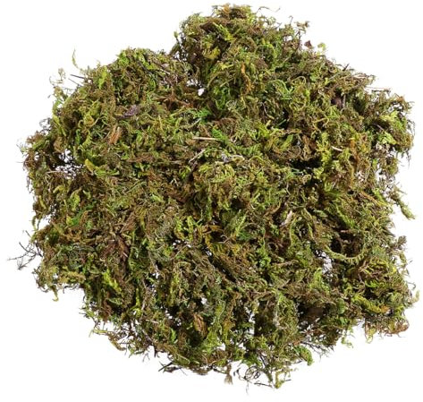 IMIKEYA 60g Fake Moss-Decorative Artificial Moss for Plant Pots-Green Faux Moss Bulk for Crafts And Arts-Lichen Moss for Garden Lawn Floristry Decor