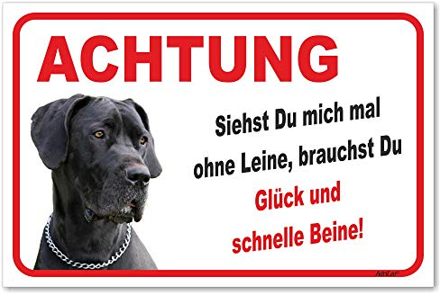 AdriLeo Schild - Vorsicht Deutsche Dogge - Ohne Leine - (20x30cm) / Graues Fell Achtung Hund Wachhund Deutscher Hund robust langlebig UV-beständig wetterfestes Warnschild