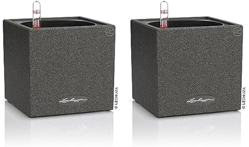 Lechuza Canto Stone 14 hochwertiger Kräuterwürfel mit Stick-Bewässerungssystem, graphitschwarz (Packung mit 2)