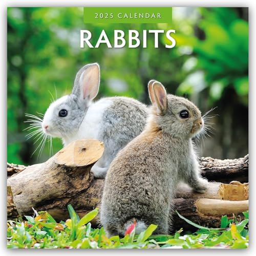 Rabbits – Hasen – Kaninchen 2025 – 16-Monatskalender: Original Red Robin Publishing Ltd-Kalender [Mehrsprachig] [Kalender] (Wall-Kalender)