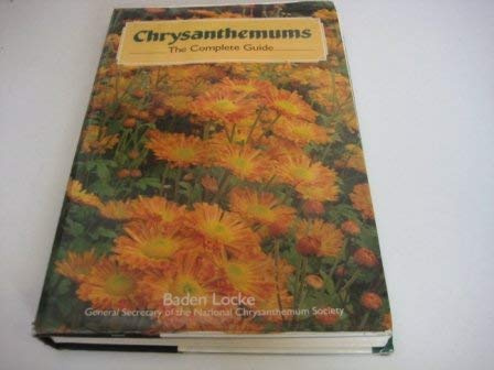 Chrysanthemums: The Complete Guide